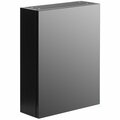 Basicwise Wall Mount Mirrored Cabinet with Single Door, 2 Adjustable Shelves Medicine Wood Organizer Black QI004504.BK